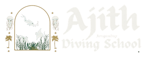 Ajith Diving School Arugambay